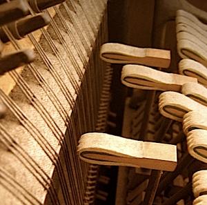 Organ vs. Piano: Which is the better choice for you? - Blog and News updates from Evola Music - blog-45591_Piano-As-Percussion