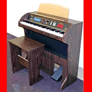 Lowrey SE2 Organ  $288.00